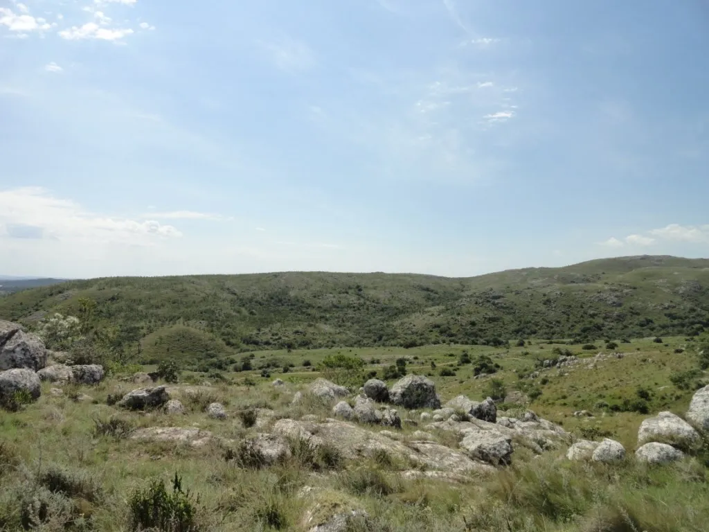 Chacra / Campo 96 ha en Maldonado — foto 6