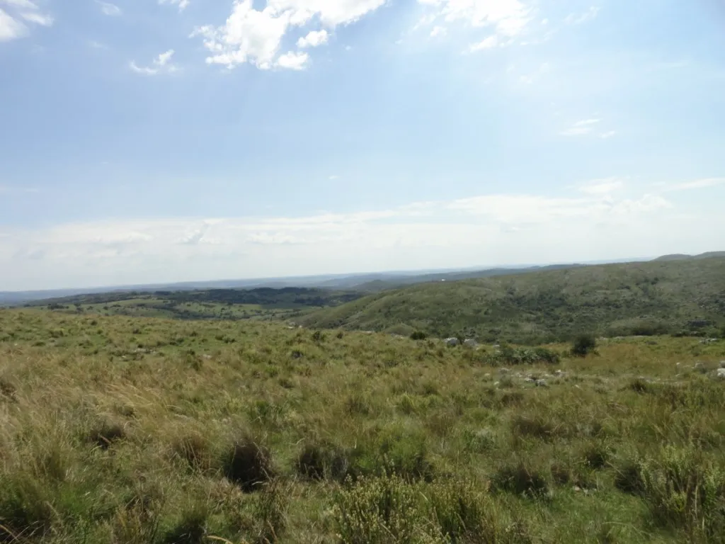 Chacra / Campo 96 ha en Maldonado — foto 7