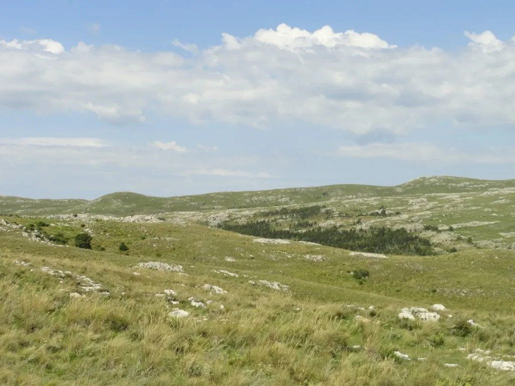 Chacra / Campo 96 ha en Maldonado — foto 10