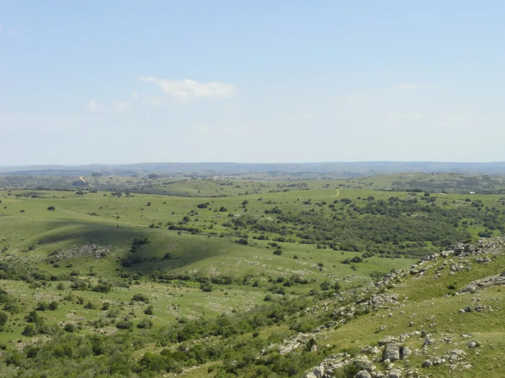 Chacra / Campo 96 ha en Maldonado — foto 12