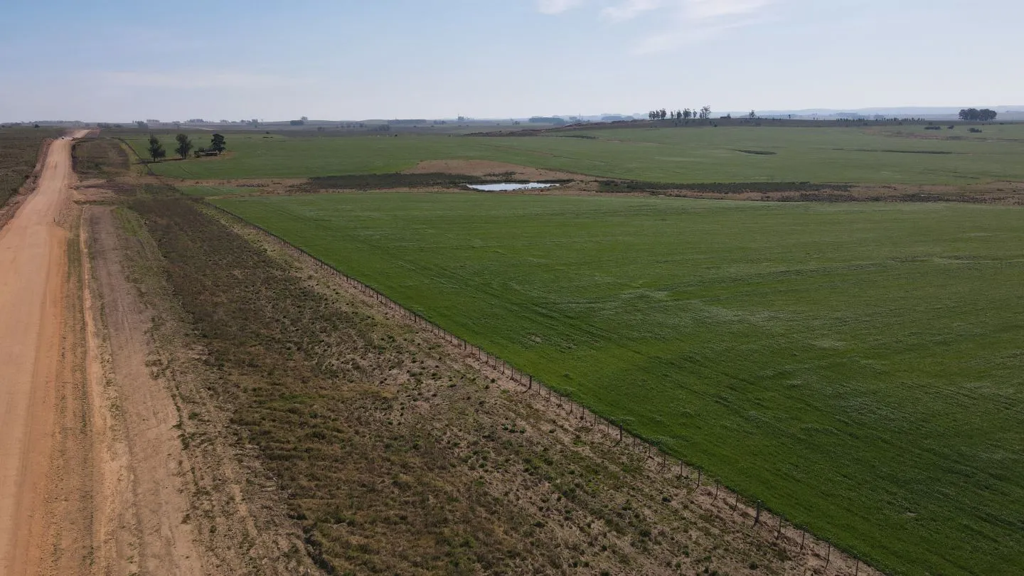 Chacra / Campo 360 ha en Lavalleja — foto 2