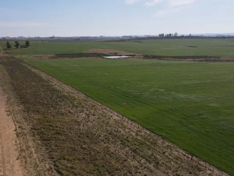 Chacra / Campo 360 ha en Lavalleja — foto 2