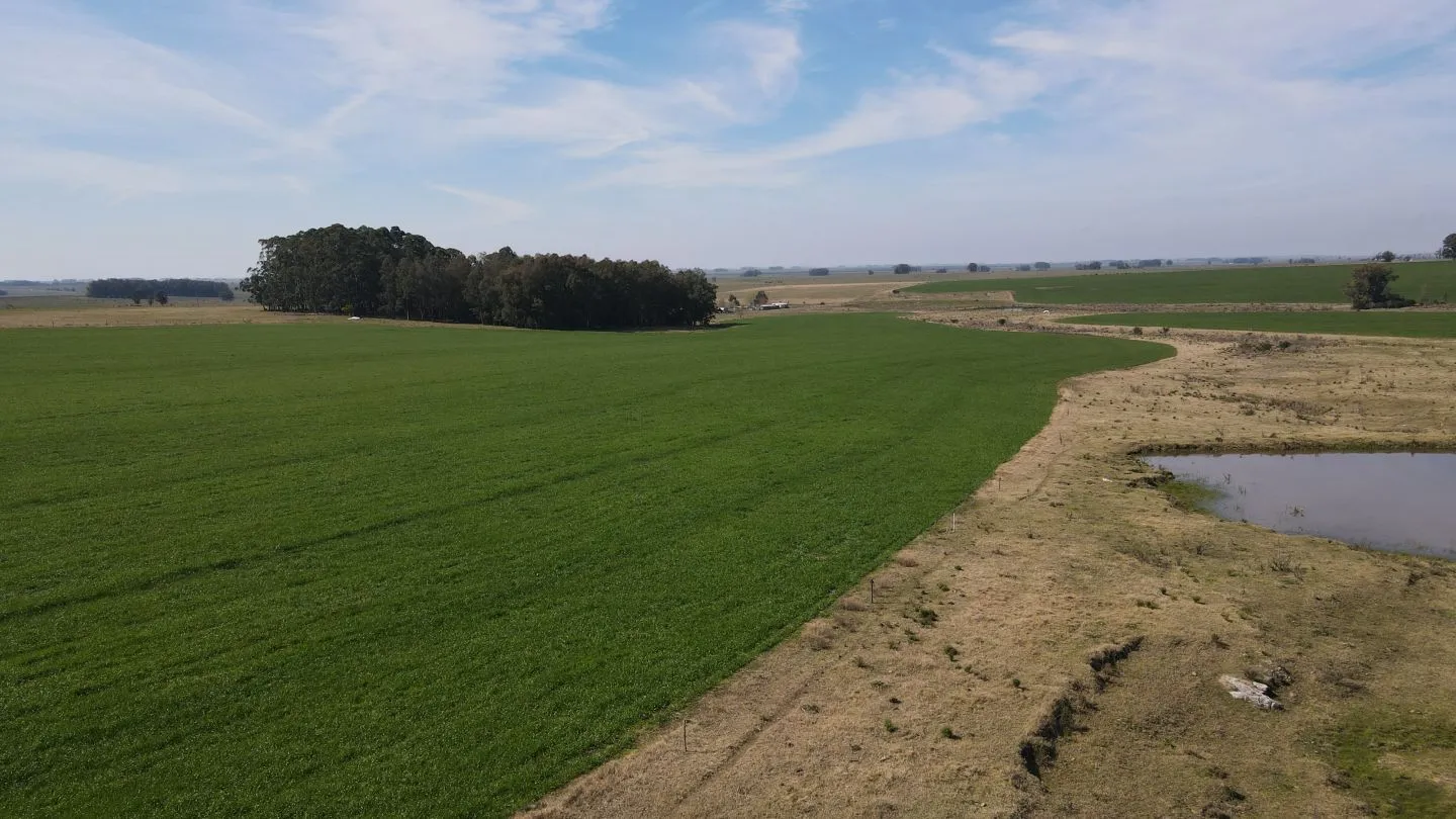 Chacra / Campo 360 ha en Lavalleja — foto 3