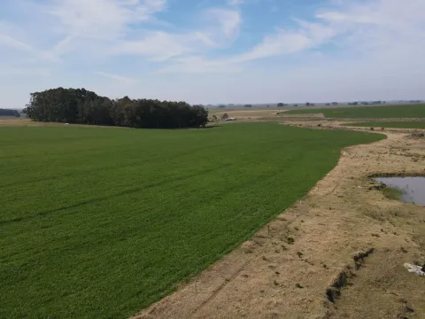Chacra / Campo 360 ha en Lavalleja — foto 3