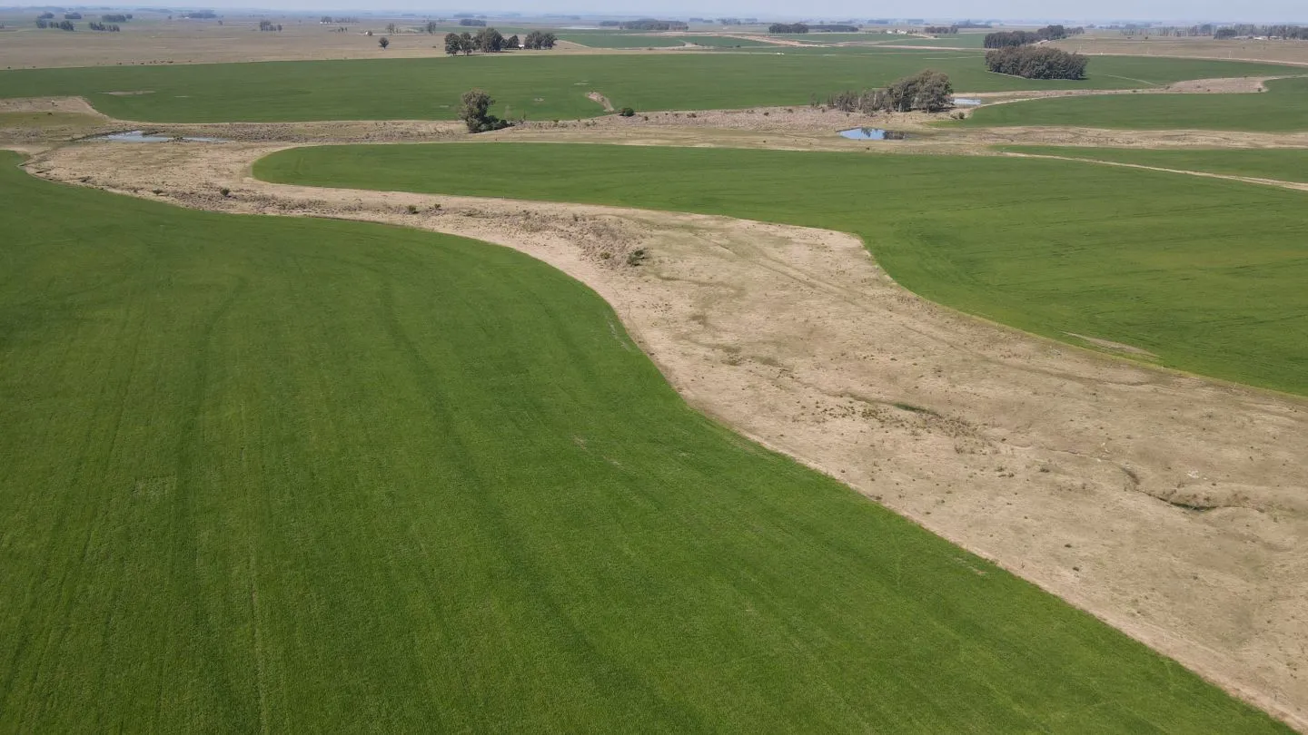Chacra / Campo 360 ha en Lavalleja — foto 4
