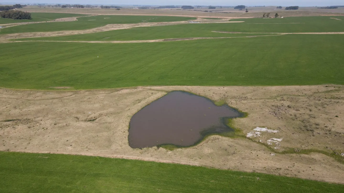 Chacra / Campo 360 ha en Lavalleja — foto 5