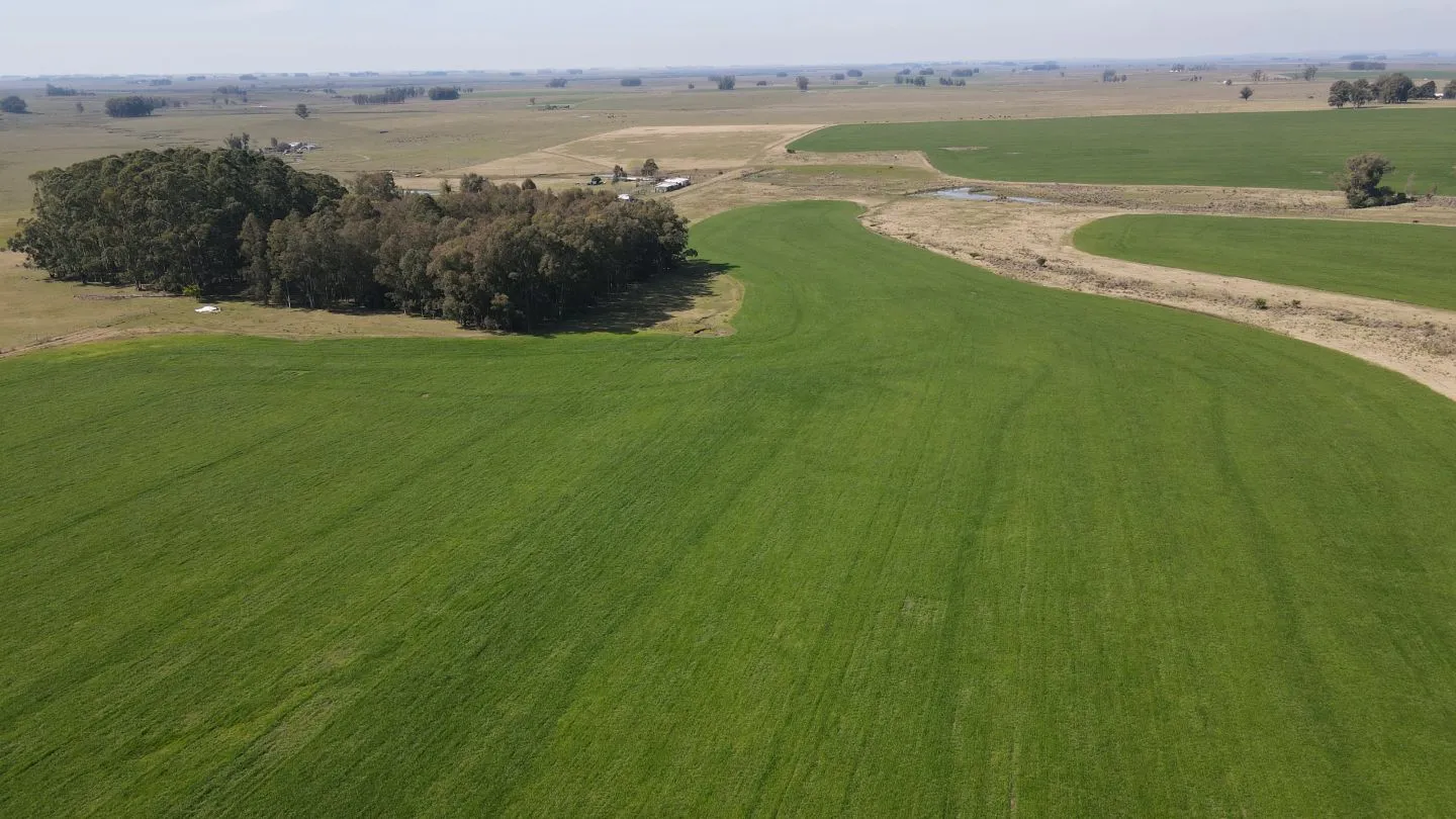 Chacra / Campo 360 ha en Lavalleja — foto 6