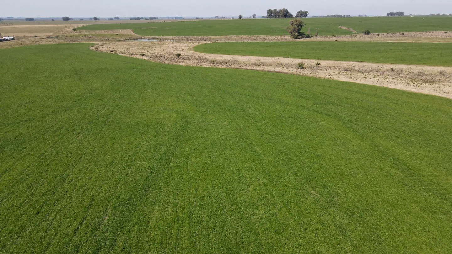 Chacra / Campo 360 ha en Lavalleja — foto 7