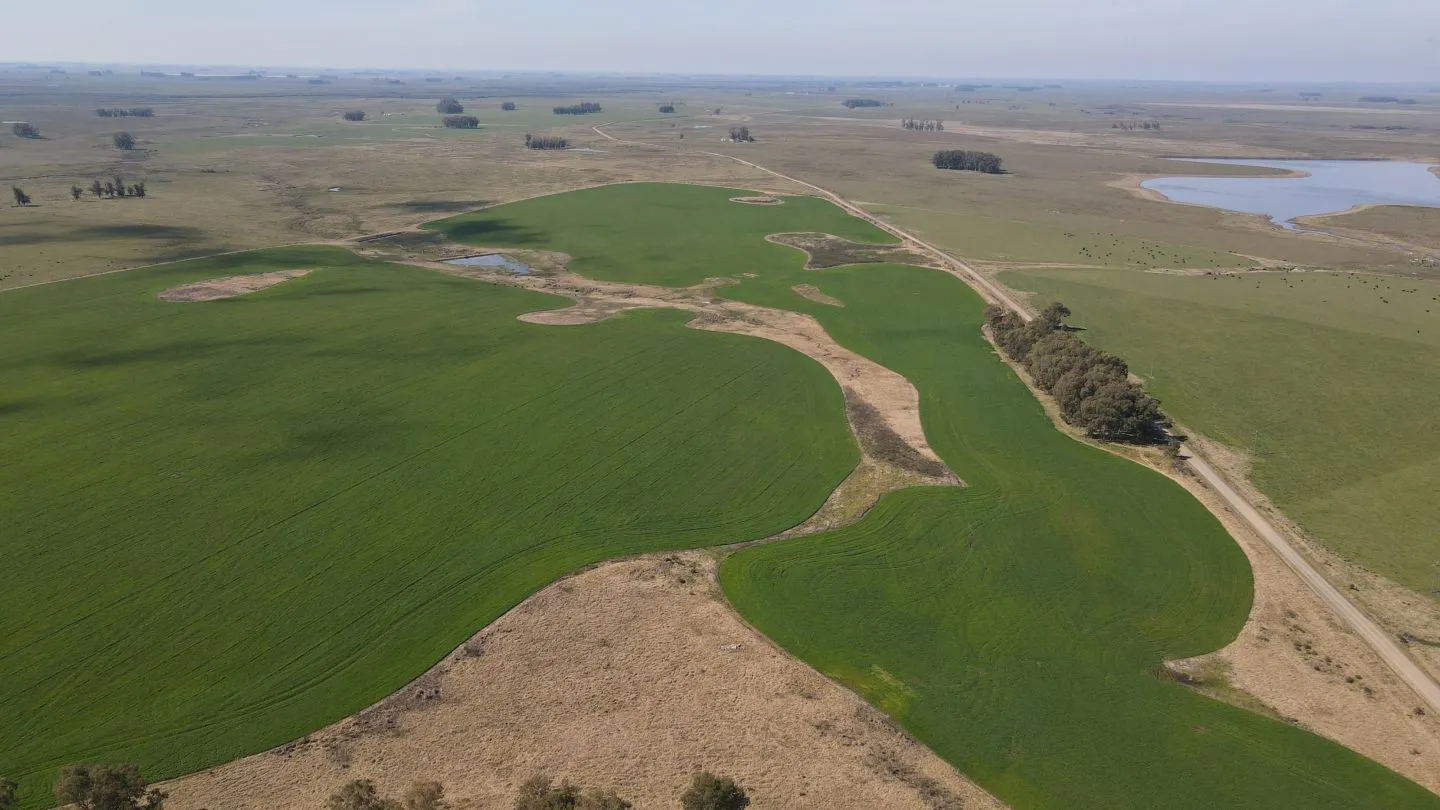 Chacra / Campo 360 ha en Lavalleja — foto 8
