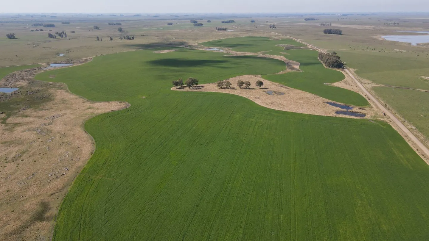 Chacra / Campo 360 ha en Lavalleja — foto 9
