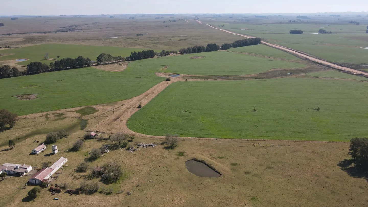 Chacra / Campo 360 ha en Lavalleja — foto 10