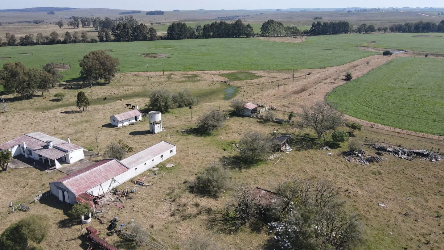 Chacra / Campo 360 ha en Lavalleja — foto 11