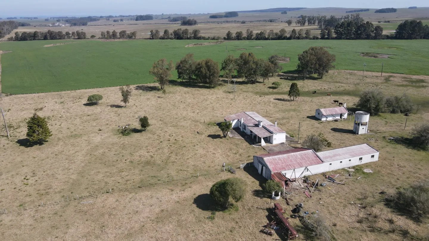 Chacra / Campo 360 ha en Lavalleja — foto 12