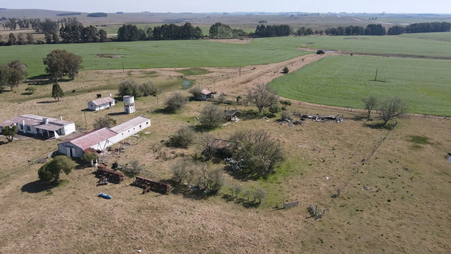 Chacra / Campo 360 ha en Lavalleja — foto 13