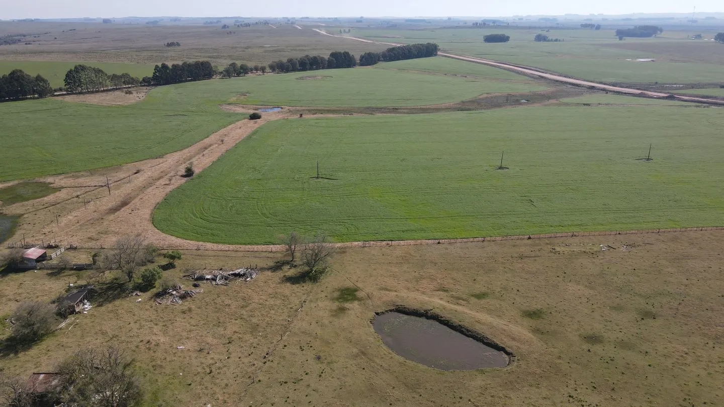 Chacra / Campo 360 ha en Lavalleja — foto 14