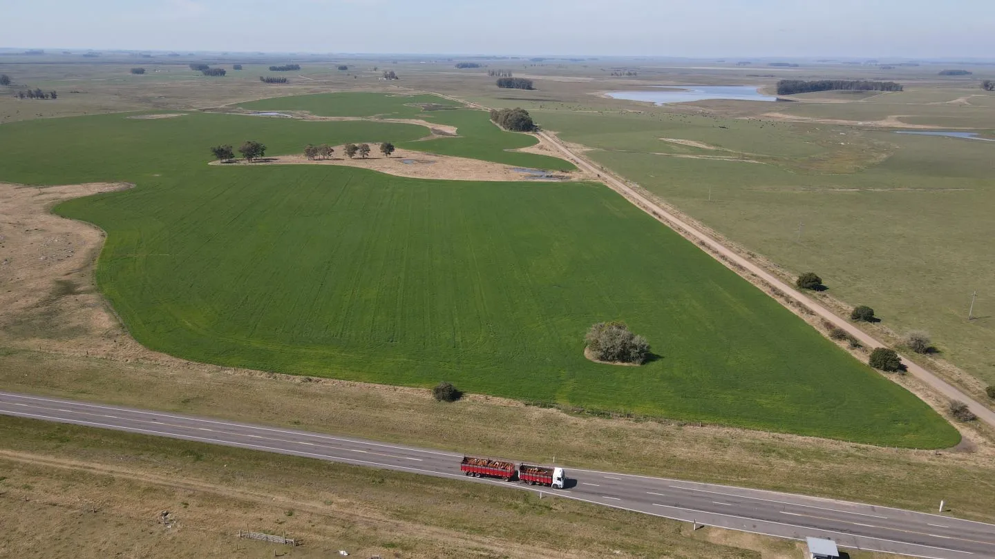 Chacra / Campo 360 ha en Lavalleja — foto 15