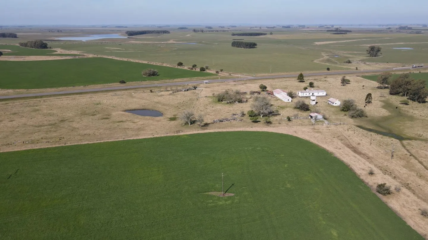 Chacra / Campo 360 ha en Lavalleja — foto 16