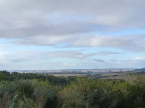 Chacra / Campo 1.730 ha en Lavalleja — foto 2