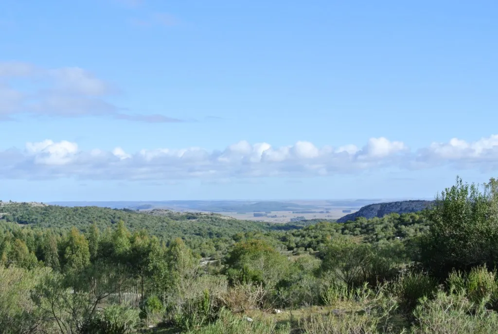 Chacra / Campo 1.730 ha en Lavalleja — foto 4