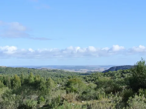Chacra / Campo 1.730 ha en Lavalleja — foto 4