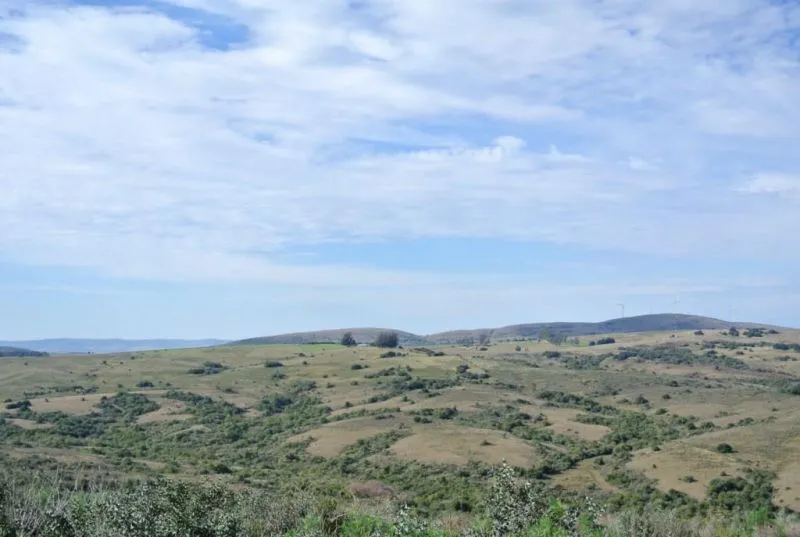Chacra / Campo 36 ha en Maldonado — foto 1