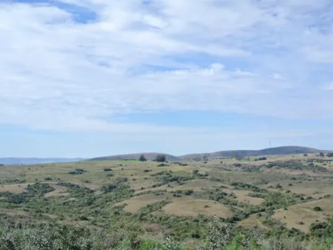 Chacra / Campo 36 ha en Maldonado