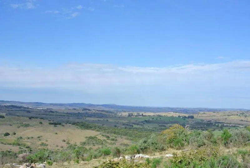Chacra / Campo 36 ha en Maldonado — foto 2
