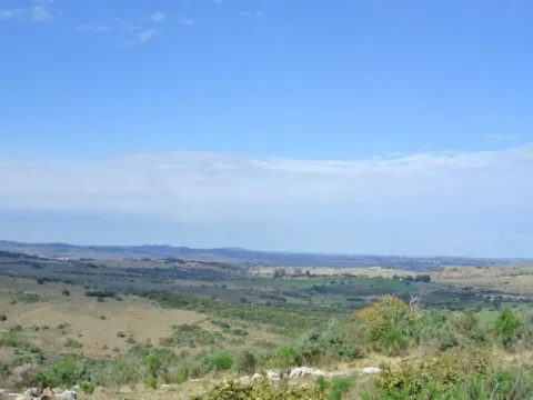 Chacra / Campo 36 ha en Maldonado — foto 2