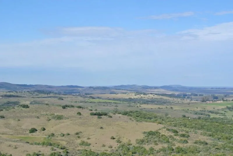 Chacra / Campo 36 ha en Maldonado — foto 3