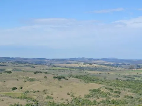 Chacra / Campo 36 ha en Maldonado — foto 3