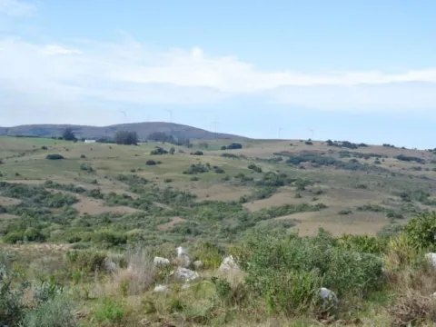 Chacra / Campo 36 ha en Maldonado — foto 4