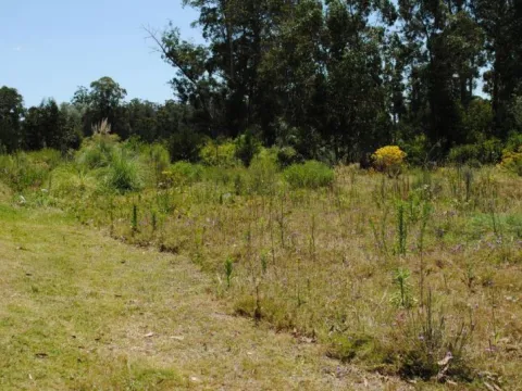 Venta de lote esquinero - Golf, Punta del Este