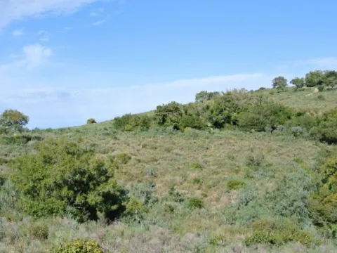 Chacra / Campo 36 ha en Maldonado — foto 5