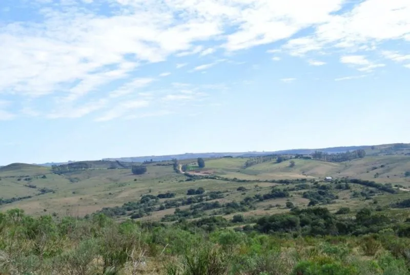 Chacra / Campo 36 ha en Maldonado — foto 10