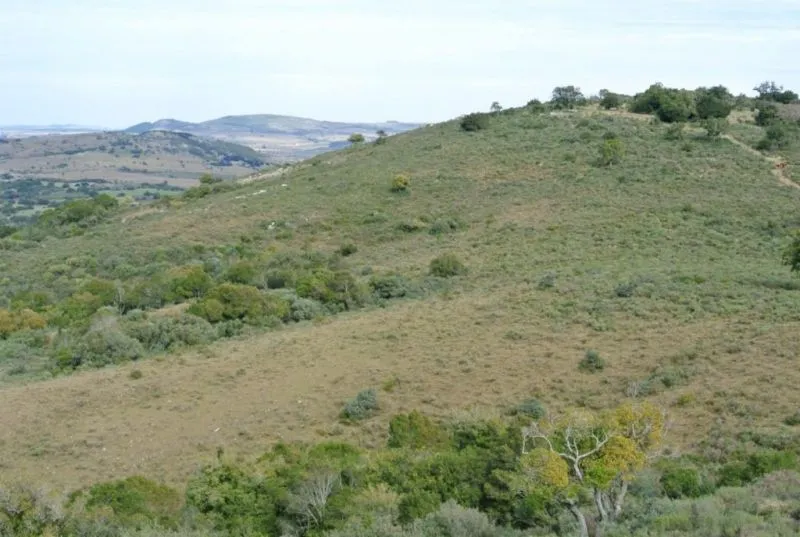 Chacra / Campo 36 ha en Maldonado — foto 11