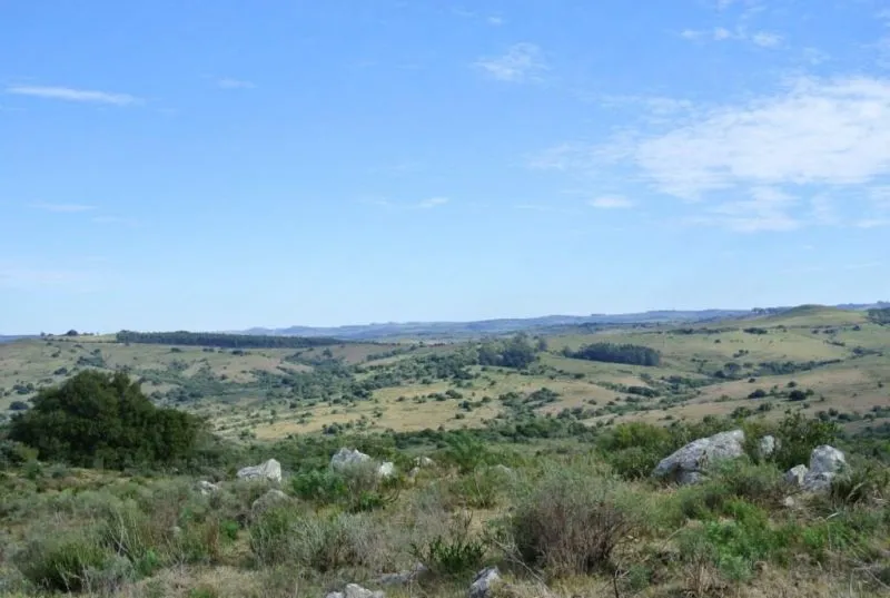 Chacra / Campo 36 ha en Maldonado — foto 13