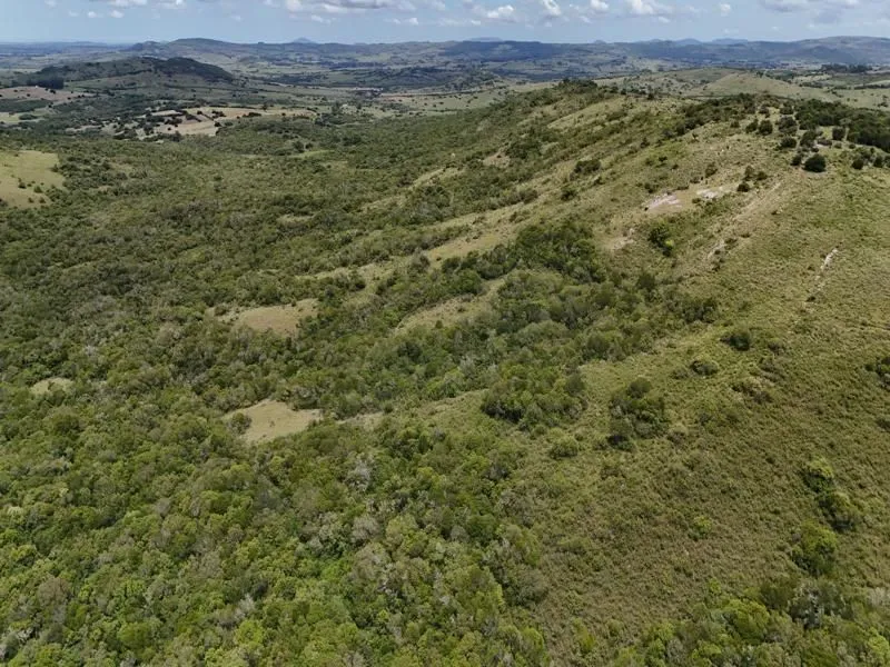 Chacra / Campo 36 ha en Maldonado — foto 15