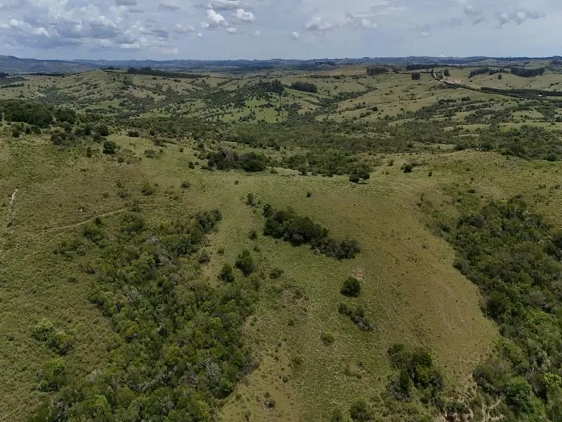 Chacra / Campo 36 ha en Maldonado — foto 16