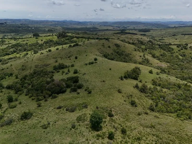Chacra / Campo 36 ha en Maldonado — foto 17