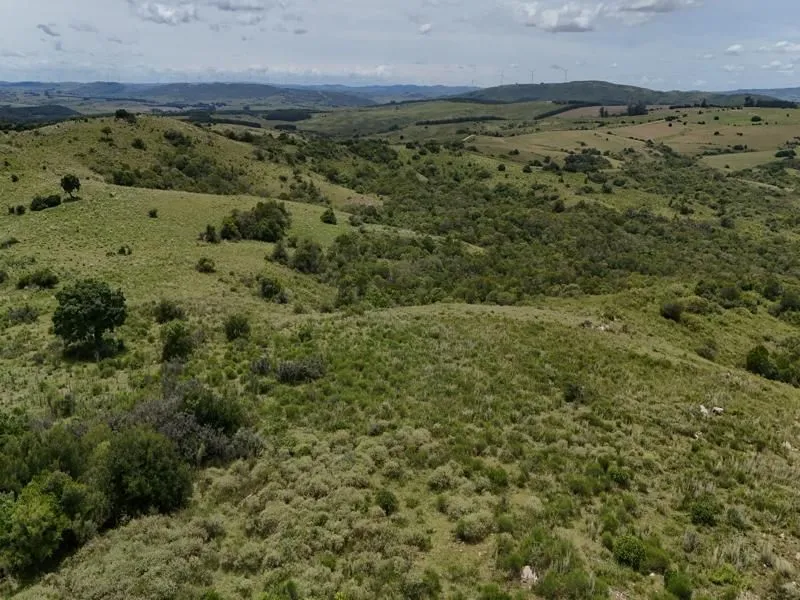 Chacra / Campo 36 ha en Maldonado — foto 18