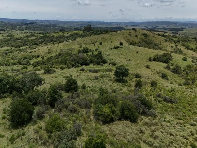 Chacra / Campo 36 ha en Maldonado — foto 19
