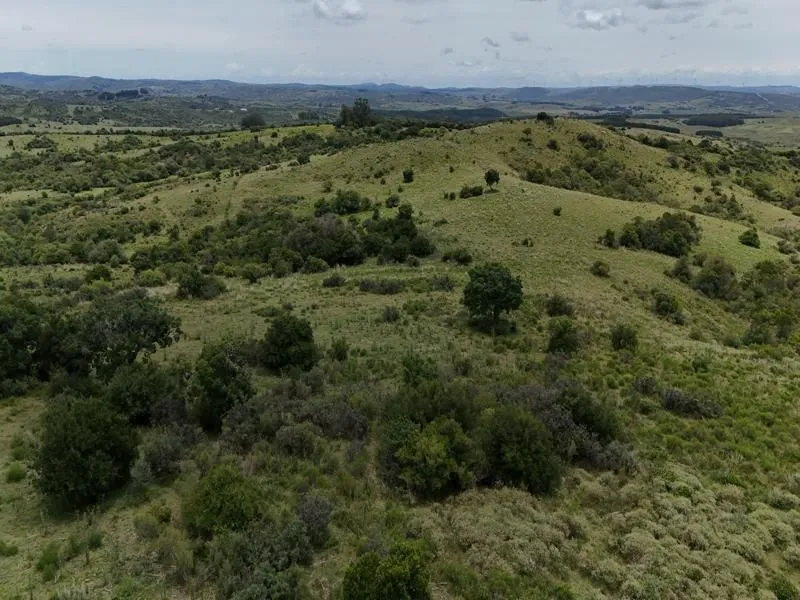 Chacra / Campo 36 ha en Maldonado — foto 20
