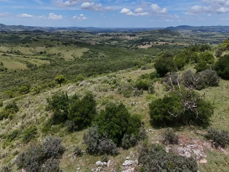 Chacra / Campo 36 ha en Maldonado — foto 21