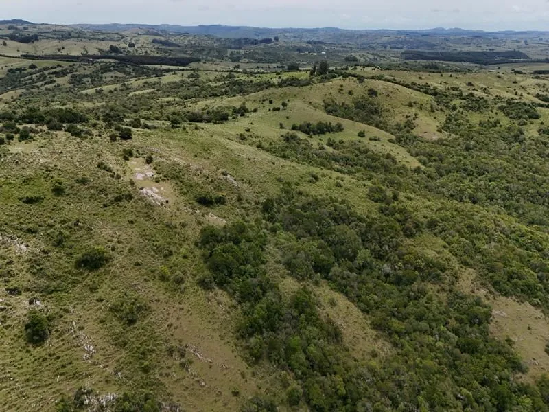 Chacra / Campo 36 ha en Maldonado — foto 22