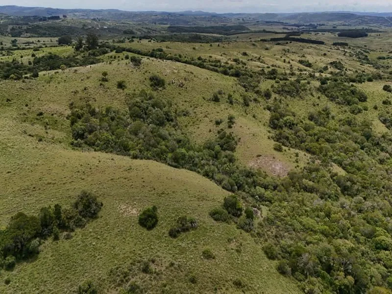 Chacra / Campo 36 ha en Maldonado — foto 23