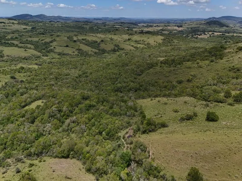 Chacra / Campo 36 ha en Maldonado — foto 24