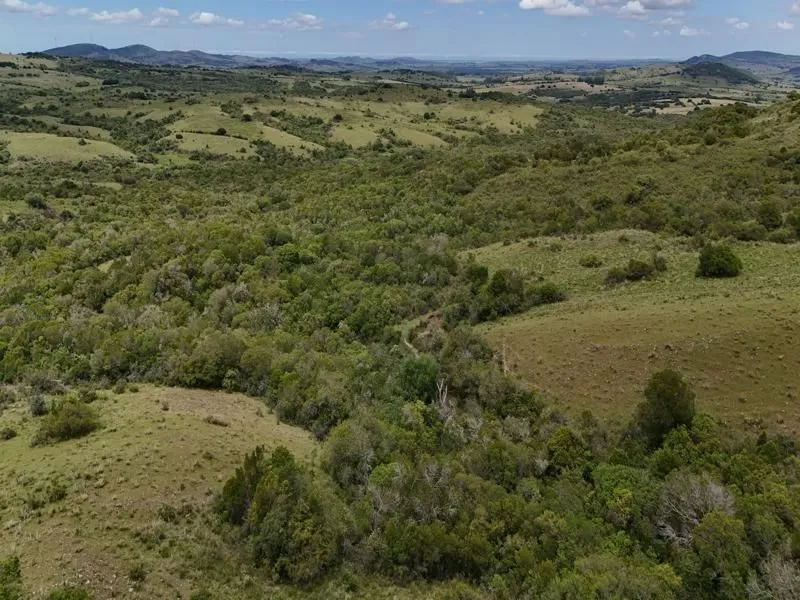 Chacra / Campo 36 ha en Maldonado — foto 25