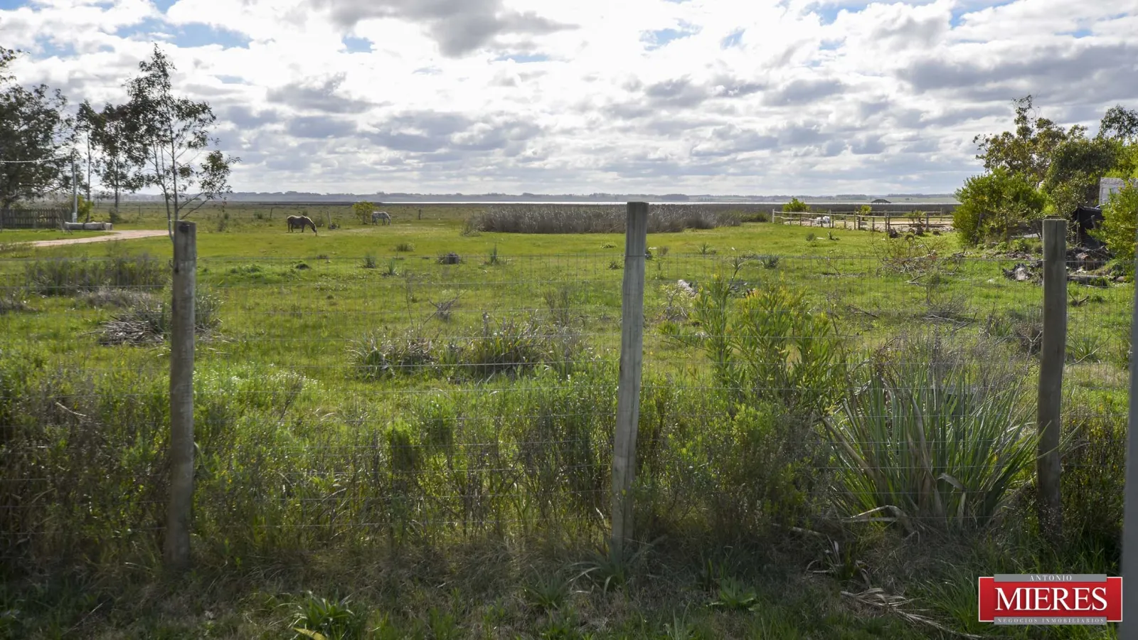 Casa en José Ignacio — foto 16