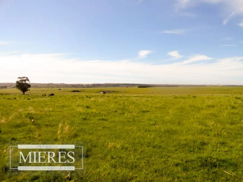 Chacra / Campo 60 ha en Maldonado — foto 1