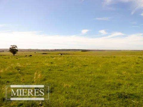 Chacra / Campo 60 ha en Maldonado